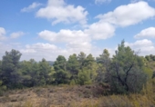 Xalet independent amb terreny en venda a la España, Vall-de-roures, ref.: TR319824 foto