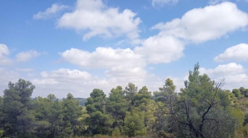 Teruel - Valderrobres - 22600m2