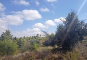 Xalet independent amb terreny en venda a la España, Vall-de-roures, ref.: TR319824 foto