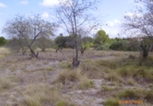 Terreno no urbanizable en venta en la España, Castelló de Rugat, ref: TR128213 foto