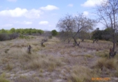 Terreno no urbanizable en venta en la España, Castelló de Rugat, ref: TR128213 foto