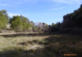 Terreno no urbanizable en venta en la España, Castelló de Rugat, ref: TR128213 foto