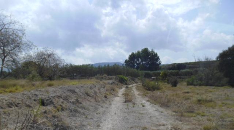 Valencia - Castellón de Rugat - 22000m2