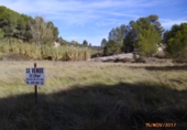 Terreno no urbanizable en venta en la España, Castelló de Rugat, ref: TR128213 foto