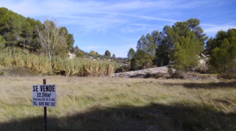 Valencia - Castellón de Rugat - 22000m2