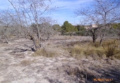 Terreno no urbanizable en venta en la España, Castelló de Rugat, ref: TR128213 foto