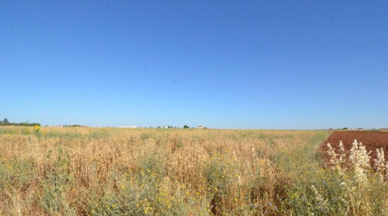 Salamanca - Castellanos de Villiquera - 3293m2