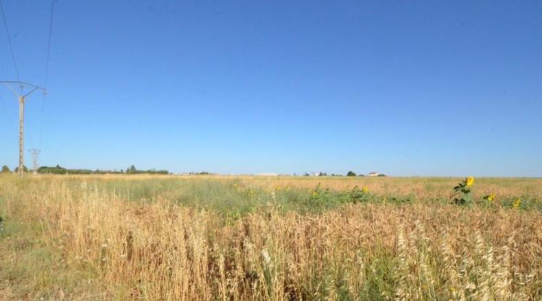 Salamanca - Castellanos de Villiquera - 3293m2