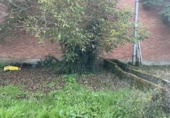 Urban land for sale on España, Cacabelos, ref: TR198079 photo