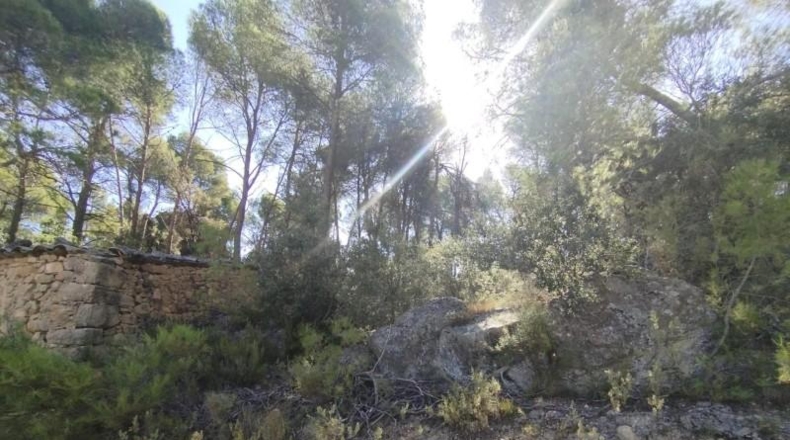 Teruel - Valderrobres - 20m2