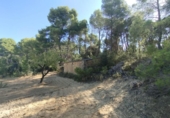 Xalet independent amb terreny en venda a la España, Vall-de-roures, ref.: TR335971 foto