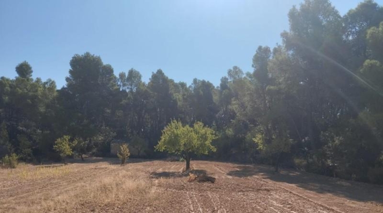 Teruel - Valderrobres - 20m2