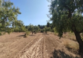 Xalet independent amb terreny en venda a la España, Vall-de-roures, ref.: TR335971 foto