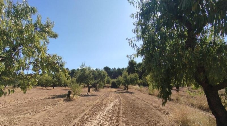 Teruel - Valderrobres - 20m2