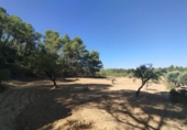Xalet independent amb terreny en venda a la España, Vall-de-roures, ref.: TR335971 foto