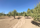 Xalet independent amb terreny en venda a la España, Vall-de-roures, ref.: TR335971 foto