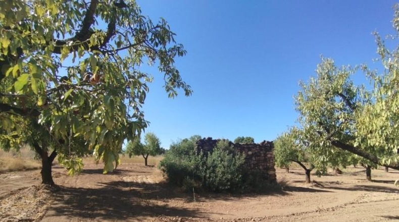 Teruel - Valderrobres - 20m2