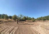 Xalet independent amb terreny en venda a la España, Vall-de-roures, ref.: TR335971 foto