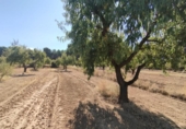 Xalet independent amb terreny en venda a la España, Vall-de-roures, ref.: TR335971 foto