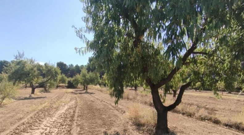 Teruel - Valderrobres - 20m2