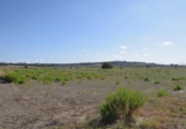 Terreno no urbanizable en venta en la España, Muro, ref: TR337229 foto