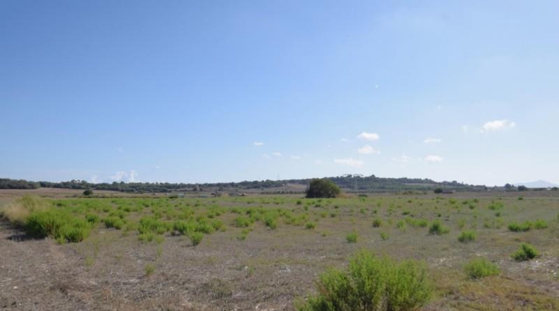 Балеарские острова - Muro - 5067m2