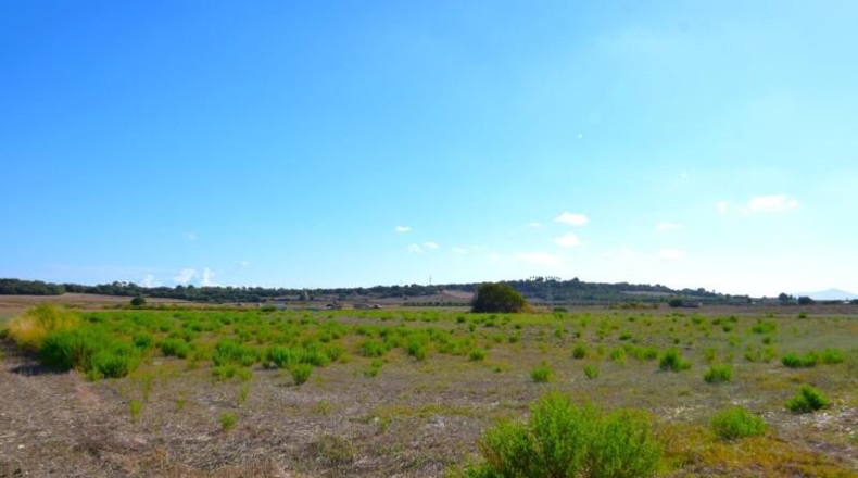 Балеарские острова - Muro - 5067m2