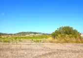 Terreno no urbanizable en venta en la España, Muro, ref: TR337229 foto