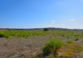 Terreno no urbanizable en venta en la España, Muro, ref: TR337229 foto
