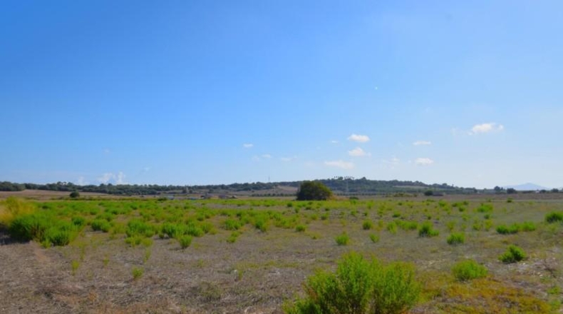 Балеарские острова - Muro - 5067m2