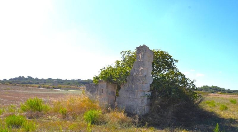 Балеарские острова - Muro - 5067m2