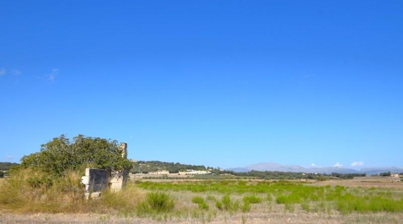 Балеарские острова - Muro - 5067m2