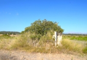 Terreno no urbanizable en venta en la España, Muro, ref: TR337229 foto