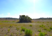 Terreno no urbanizable en venta en la España, Muro, ref: TR337229 foto
