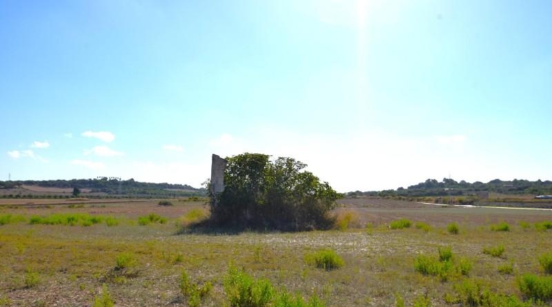 Балеарские острова - Muro - 5067m2