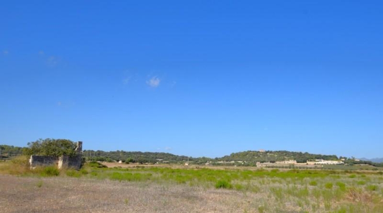 Балеарские острова - Muro - 5067m2