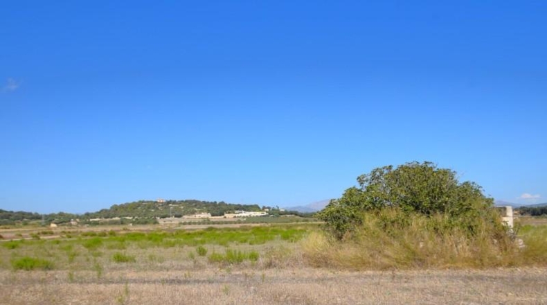 Балеарские острова - Muro - 5067m2