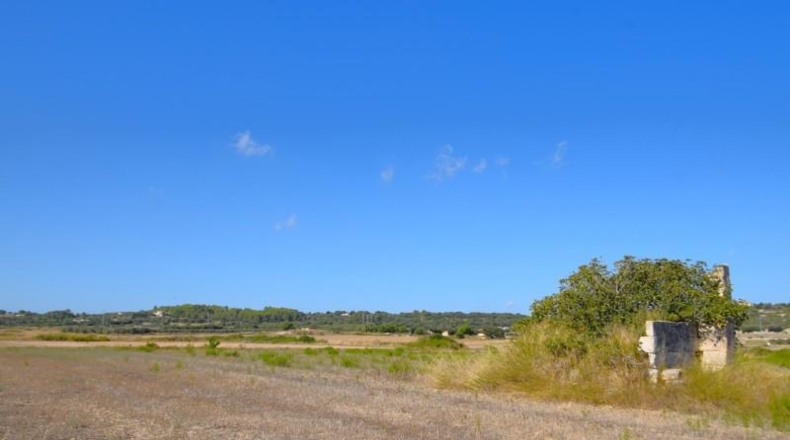 Балеарские острова - Muro - 5067m2