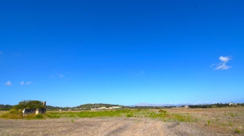 Балеарские острова - Muro - 5067m2