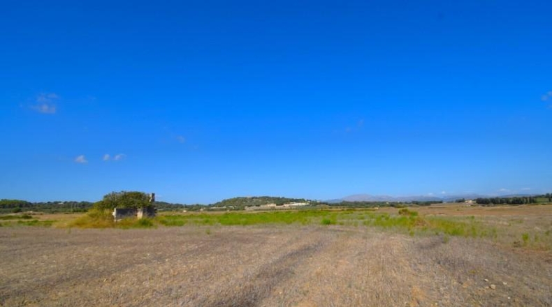Балеарские острова - Muro - 5067m2