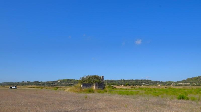 Балеарские острова - Muro - 5067m2