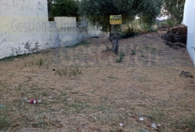 Valencia de Alcántara 300&nbsp;m²