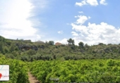 Terreno no urbanizable en venta en la España, Llombai, ref: TR317995 foto