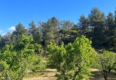 Chalet independiente con terreno en venta en la España, Calaceite, ref: TR308460 foto