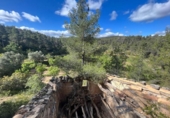 Chalet independiente con terreno en venta en la España, Calaceite, ref: TR308460 foto