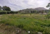 Non-developable land for sale on España, Calasparra, ref: TR282277 photo