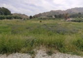 Non-developable land for sale on España, Calasparra, ref: TR282277 photo
