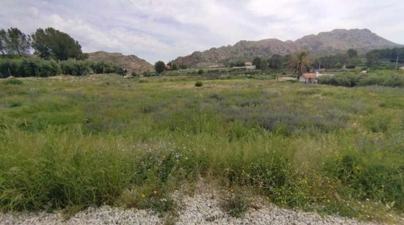 Murcia - Calasparra - 3500m2