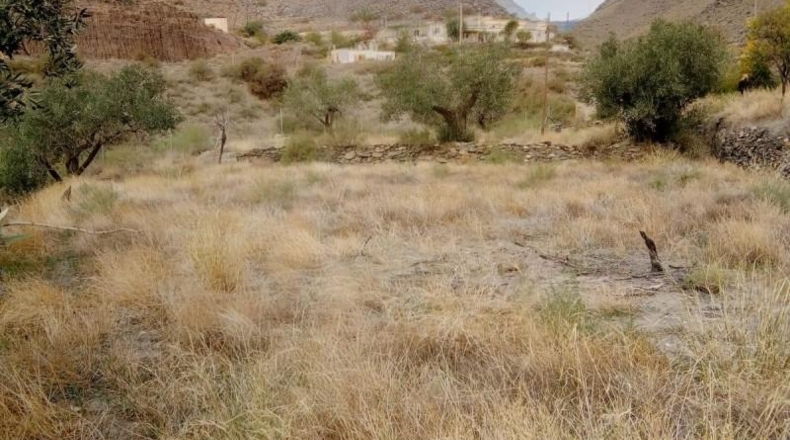 Almería - Gérgal - 900m2