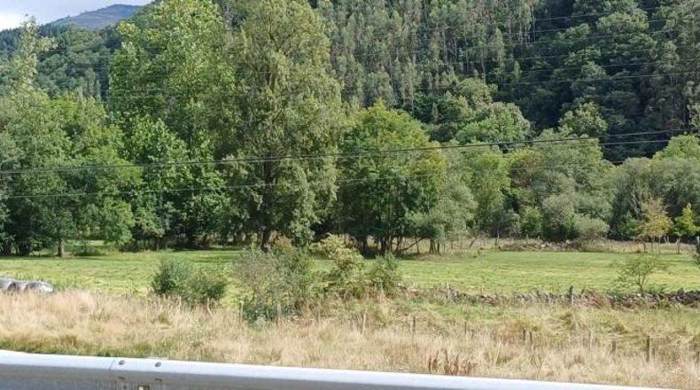 Cantabria - San Andrés de Luena - 5594m2
